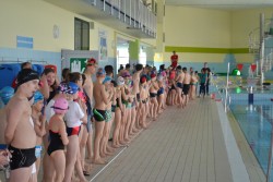 Zawody plywackiena basenie OLIMPIC