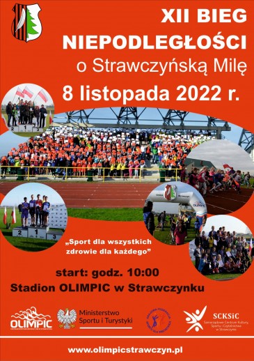 22 11 10 strawczynska mila www