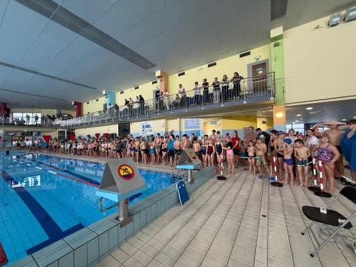 597620007 1334106635185682 3872035978021821013 n